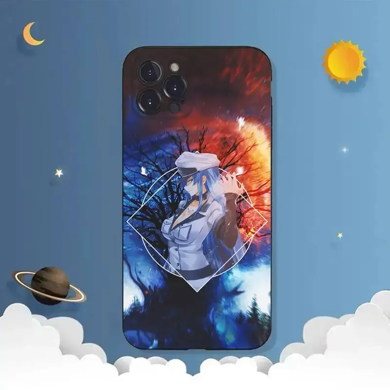 Akame Ga Kill Galaxy Esdeath Phone Case