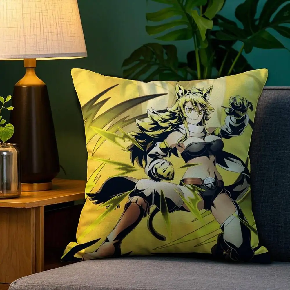 Akame Ga Kill Fabric Throw Pillow